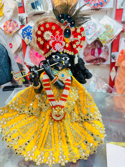 Bankebihariji ka shri vigreh