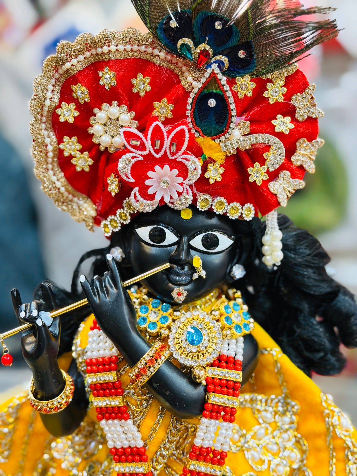 Bankebihariji ka shri vigreh