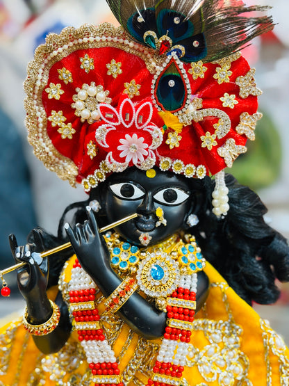 Bankebihariji ka shri vigreh