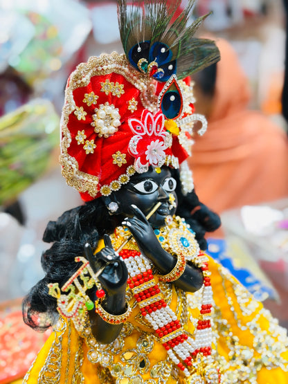 Bankebihariji ka shri vigreh