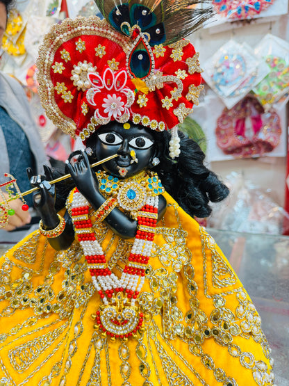 Bankebihariji ka shri vigreh