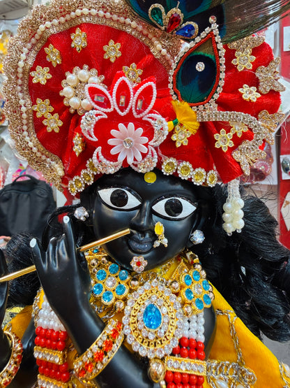 Bankebihariji ka shri vigreh