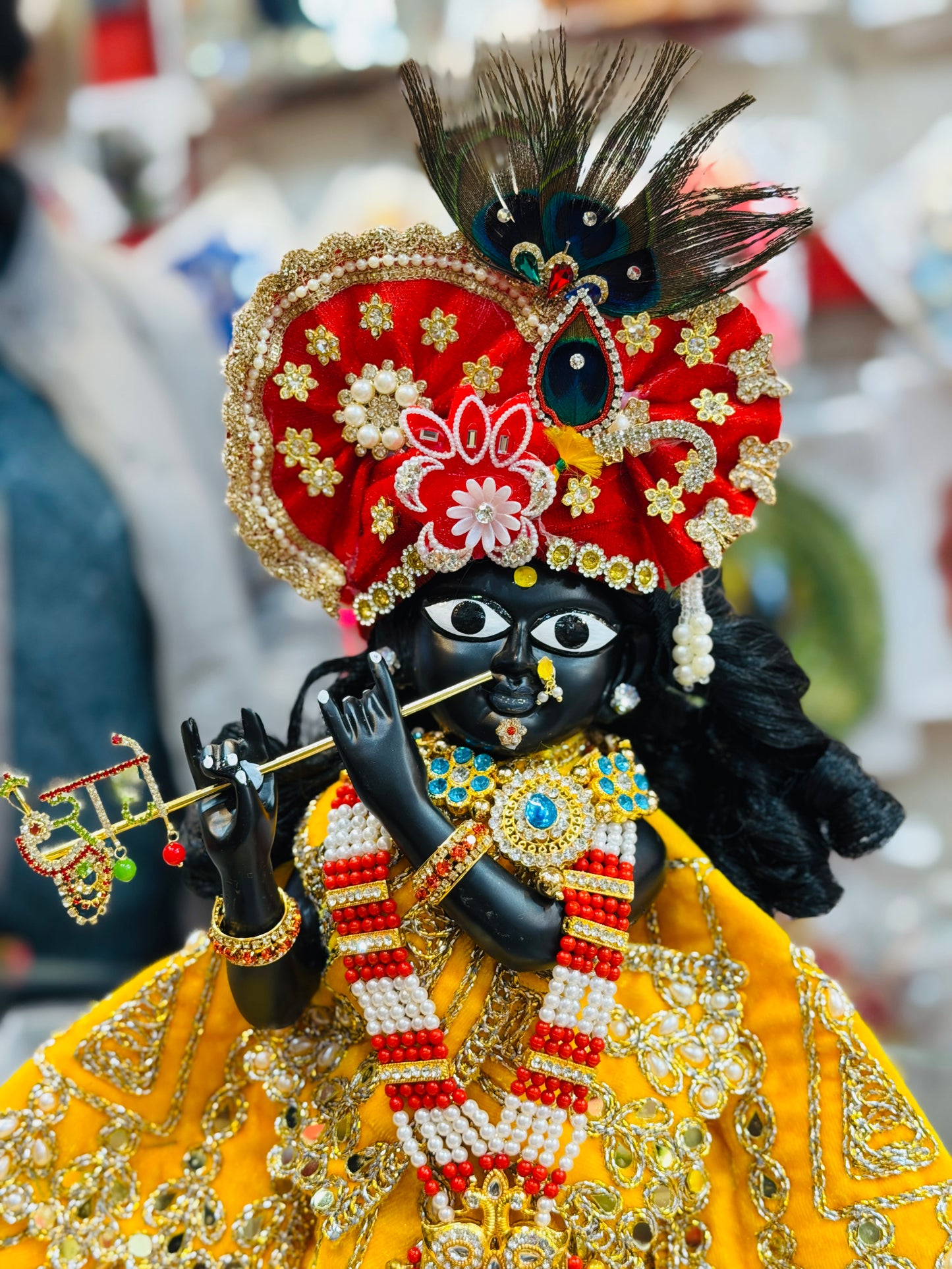 Bankebihariji ka shri vigreh