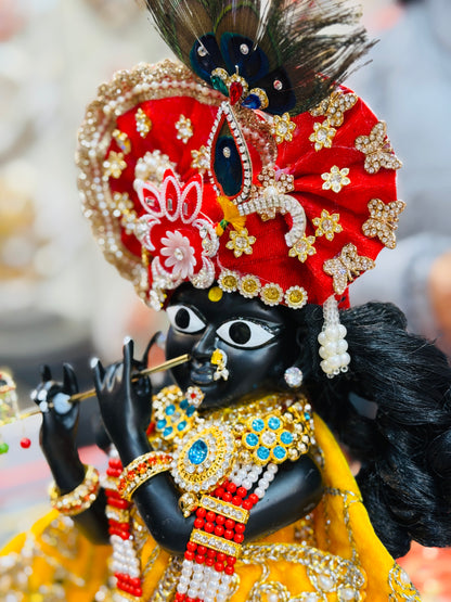 Bankebihariji ka shri vigreh