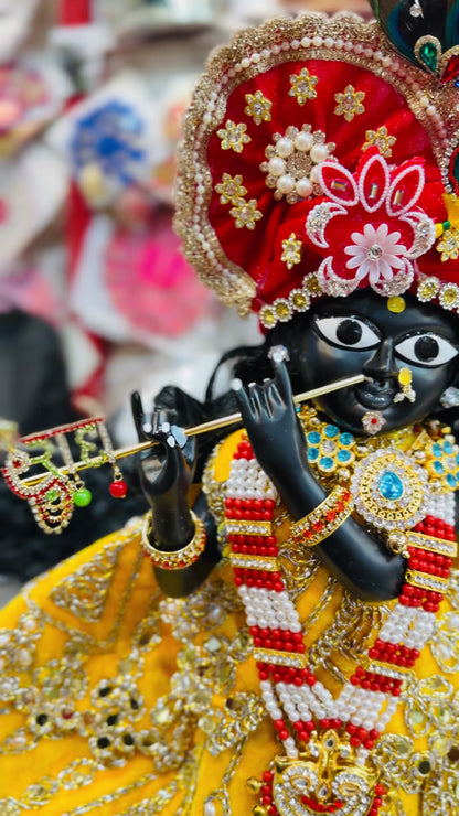 Bankebihariji ka shri vigreh